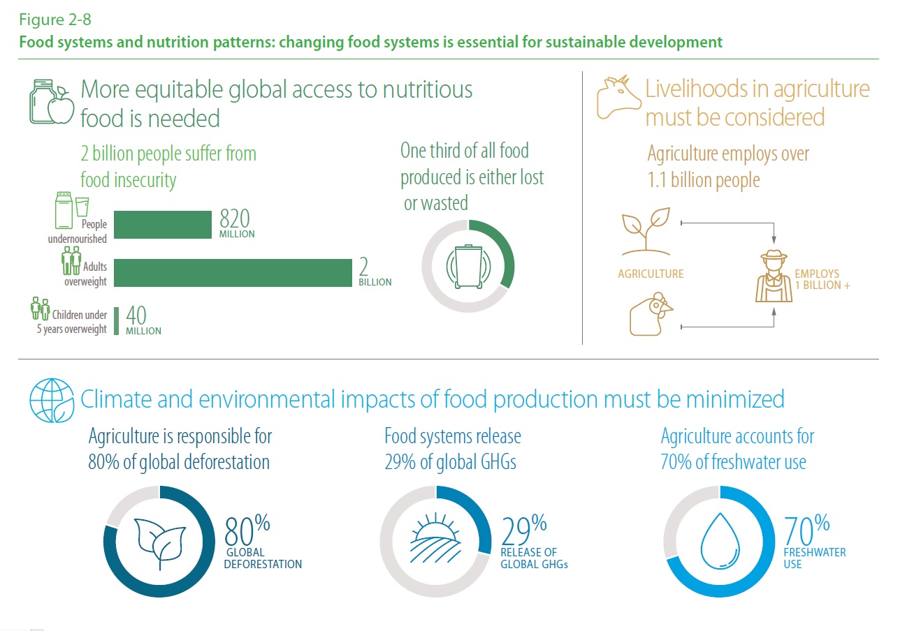 Food Security Malaysia | Urban Hijau